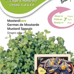 Buzzy® Organic SproutingMosterdkers (BIO) -Planten Zorg Verkoop 842x1200 5