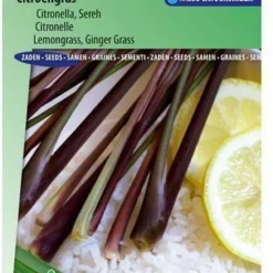 Sluis Garden - Citroengras (Cymbopogon Flexuosus)
