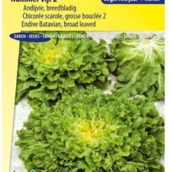 Sluis Garden - Andijvie Nummer Vijf 2