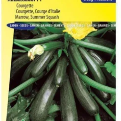 Sluis Garden - Courgette Ambassador F1