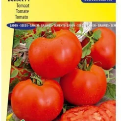 Sluis Garden - Tomaat Bonset F1