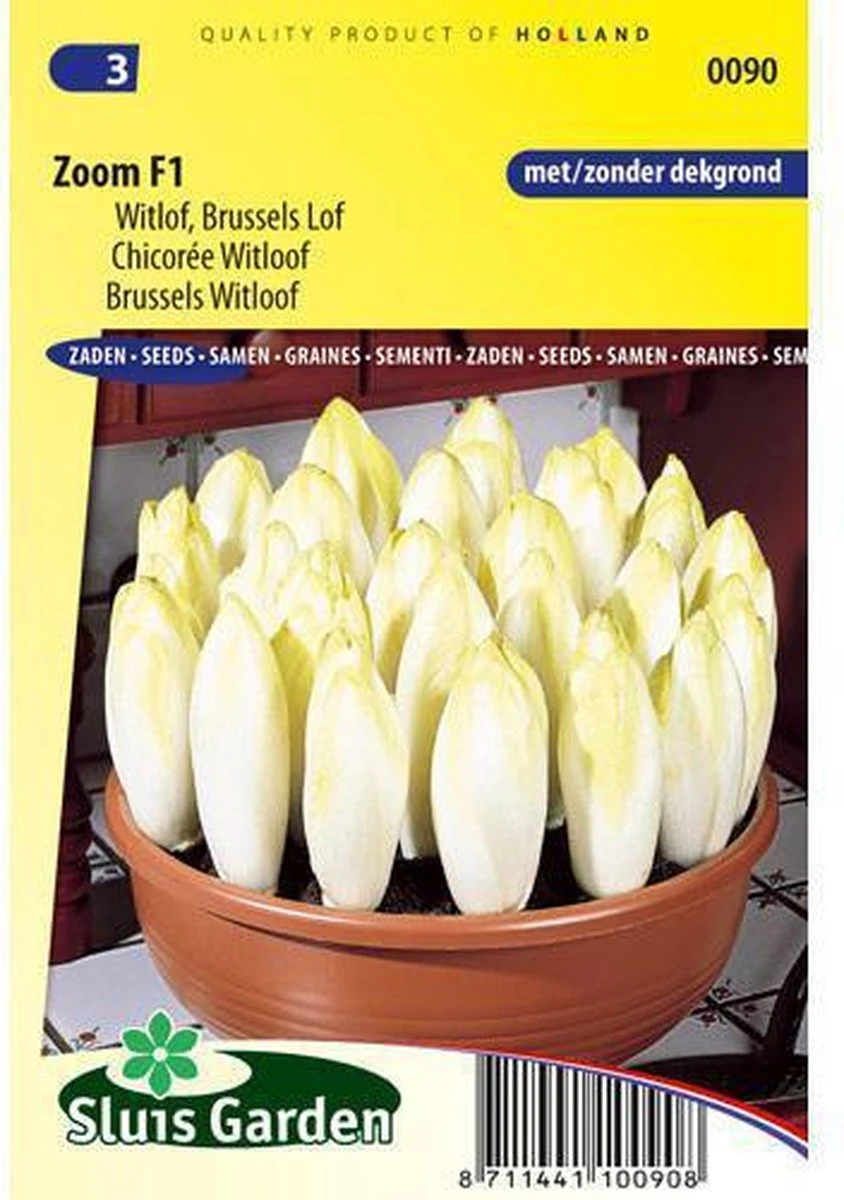 Sluis Garden - Witlof Zoom F1 > Wordt Bingo F1 2 Sluis Garden - Witlof Zoom F1 > Wordt Bingo F1 - Afbeelding 2