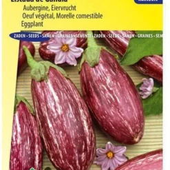 Sluis Garden - Aubergine Listada De Gandia