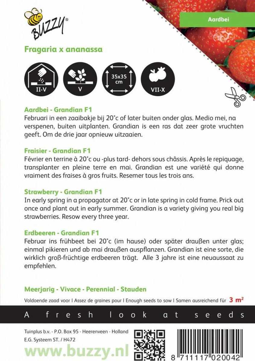 Buzzy® Aardbeien Grandian F1 2 Buzzy® Aardbeien Grandian F1 - Afbeelding 2