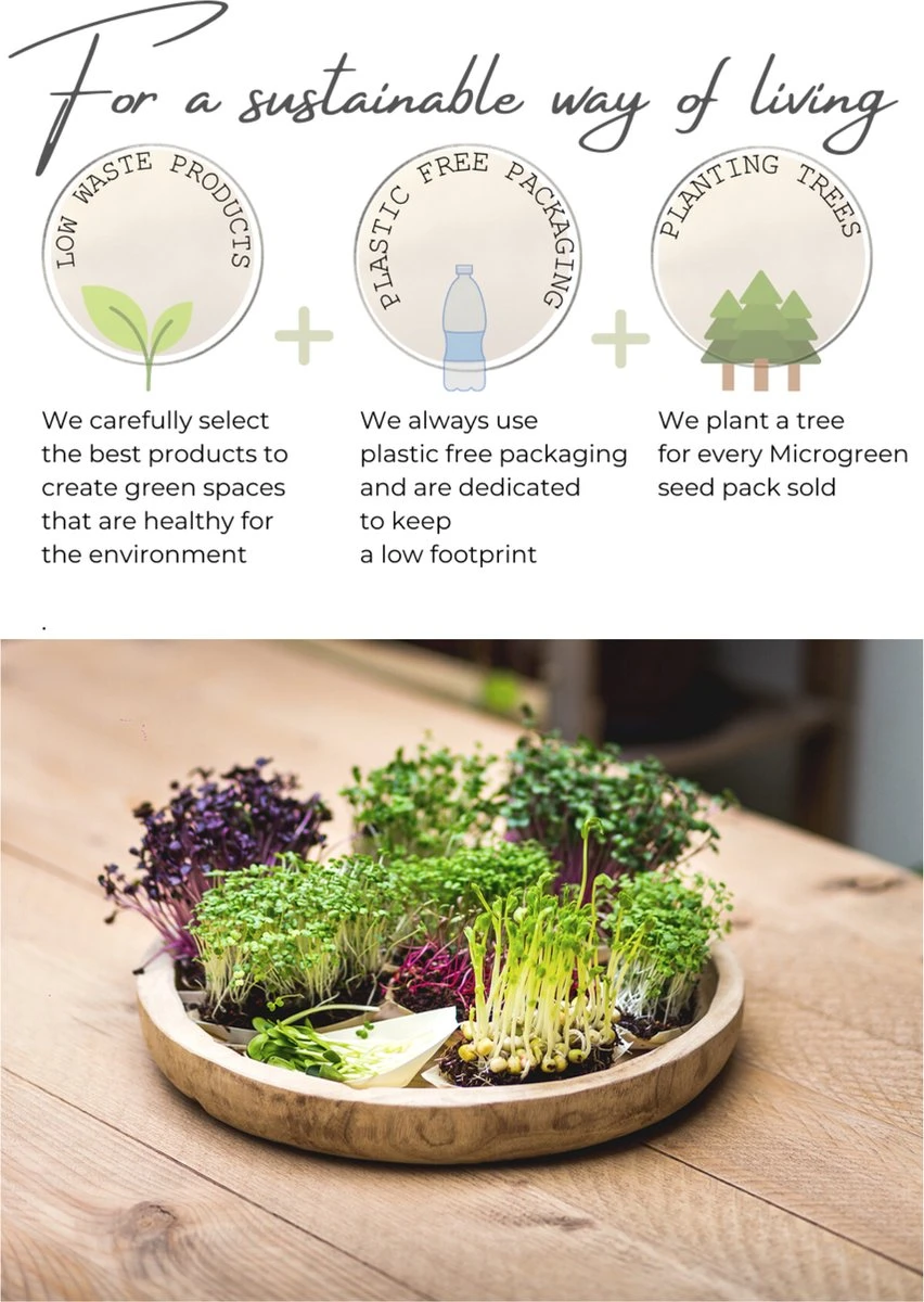 Variatie-set Kiemzaden 5x 100g | Broccoli, Erwten Scheuten, Zonnebloem, Radijs & Mosterd - 500g | Biologische Microgreen, Microgroenten Zaden | Plastic Vrij Verpakt | Moestuin Kweekset Binnen 5 Variatie-set Kiemzaden 5x 100g | Broccoli, Erwten Scheuten, Zonnebloem, Radijs & Mosterd - 500g | Biologische Microgreen, Microgroenten Zaden | Plastic Vrij Verpakt | Moestuin Kweekset Binnen - Afbeelding 5
