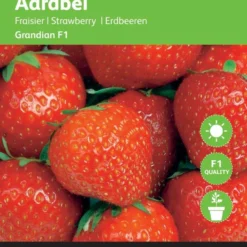 Buzzy® Aardbeien Grandian F1 7 Buzzy® Aardbeien Grandian F1 -Planten Zorg Verkoop 860x1200 2