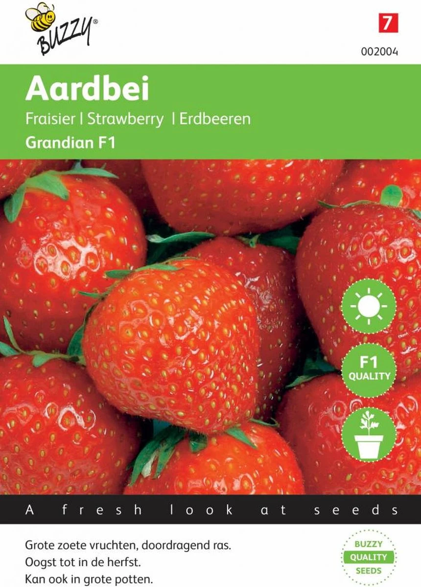 Buzzy® Aardbeien Grandian F1 4 Buzzy® Aardbeien Grandian F1 - Afbeelding 4