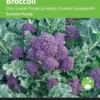 Buzzy® Broccoli Summer Purple