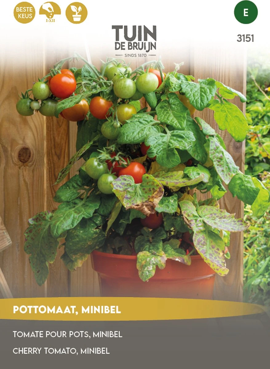 Tuin De Bruijn® Zaden - Tomaat - Pottomaat Minibel - Zeer Hoge Opbrengst - Eenvoudige Teelt 1 Tuin De Bruijn® Zaden - Tomaat - Pottomaat Minibel - Zeer Hoge Opbrengst - Eenvoudige Teelt