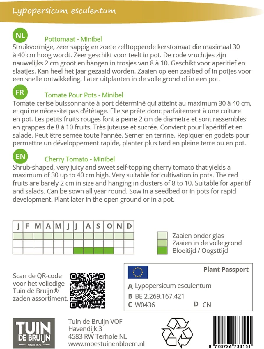 Tuin De Bruijn® Zaden - Tomaat - Pottomaat Minibel - Zeer Hoge Opbrengst - Eenvoudige Teelt 2 Tuin De Bruijn® Zaden - Tomaat - Pottomaat Minibel - Zeer Hoge Opbrengst - Eenvoudige Teelt - Afbeelding 2