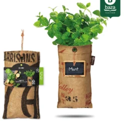 Hangtuintjes Keukenkruiden Kweken - Set 4st. 16 Hangtuintjes Keukenkruiden Kweken - Set 4st. -Planten Zorg Verkoop 957x1200