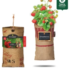 4x Hangtuintjes Moestuin Kweekset Groenten Nu Met Gratis FSC Houten Hangrekje!! 18 4x Hangtuintjes Moestuin Kweekset Groenten Nu Met Gratis FSC Houten Hangrekje!! -Planten Zorg Verkoop 962x1200
