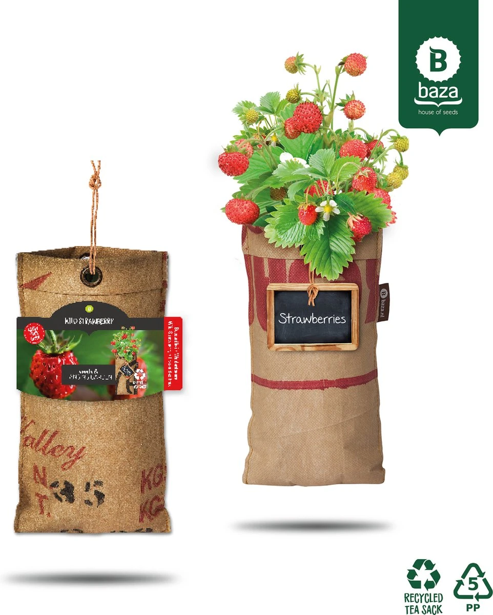 4x Hangtuintjes Moestuin Kweekset Groenten Nu Met Gratis FSC Houten Hangrekje!! 8 4x Hangtuintjes Moestuin Kweekset Groenten Nu Met Gratis FSC Houten Hangrekje!! - Afbeelding 8