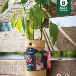 4x Hangtuintjes Moestuin Kweekset Groenten Nu Met Gratis FSC Houten Hangrekje!! 15 4x Hangtuintjes Moestuin Kweekset Groenten Nu Met Gratis FSC Houten Hangrekje!! -Planten Zorg Verkoop 967x1200 1