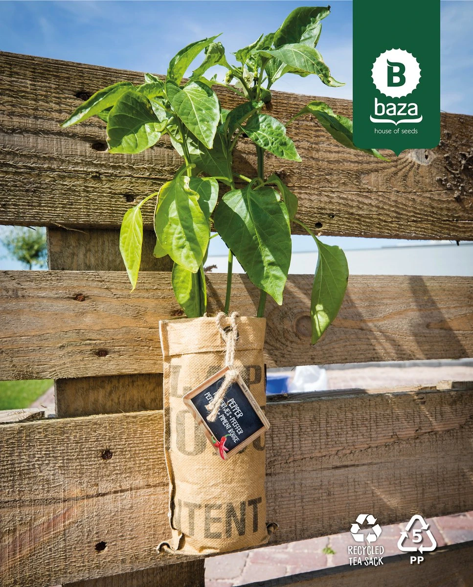 4x Hangtuintjes Moestuin Kweekset Groenten Nu Met Gratis FSC Houten Hangrekje!! 6 4x Hangtuintjes Moestuin Kweekset Groenten Nu Met Gratis FSC Houten Hangrekje!! - Afbeelding 6