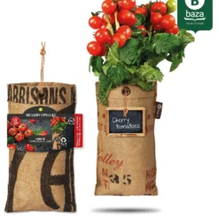 4x Hangtuintjes Moestuin Kweekset Groenten Nu Met Gratis FSC Houten Hangrekje!! 17 4x Hangtuintjes Moestuin Kweekset Groenten Nu Met Gratis FSC Houten Hangrekje!! -Planten Zorg Verkoop 967x1200 3