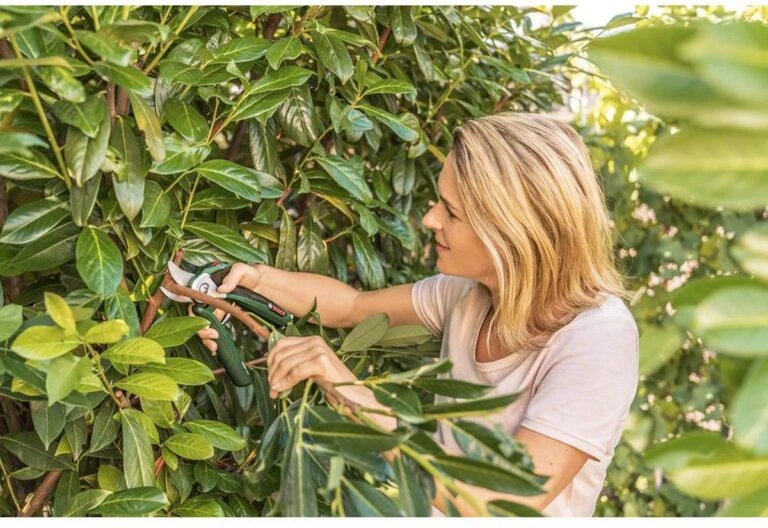 Planten Zorg Verkoop -Planten Zorg Verkoop 2